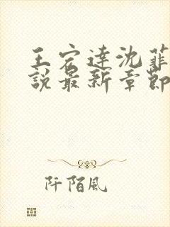 王宏达沈菲菲小说最新章节更新时间