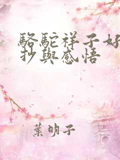 骆驼祥子好句摘抄与感悟