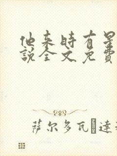 他来时有星光小说全文免费阅读