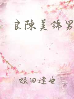 良陈美锦男女主