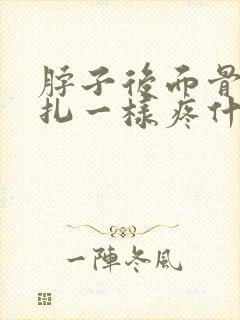 脖子后面骨头针扎一样疼什么原因