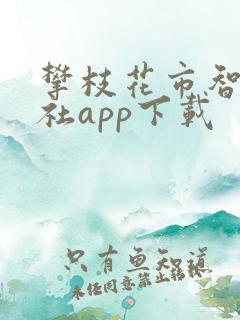 攀枝花市智慧人社app下载