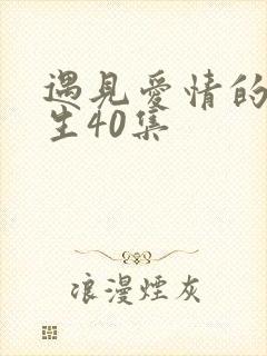 遇见爱情的利先生40集