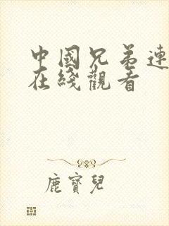 中国兄弟连高清在线观看