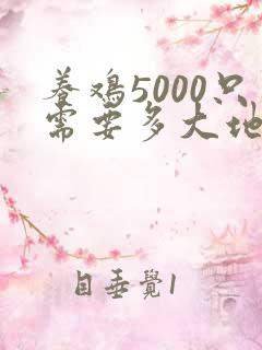 养鸡5000只需要多大地方