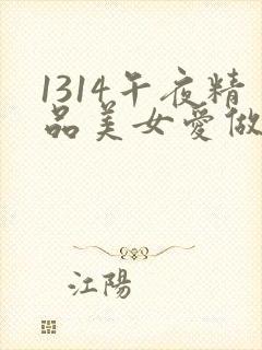 1314午夜精品美女爱做视频