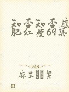知否知否应是绿肥红瘦69集免费观看