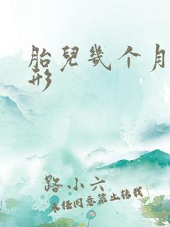 胎儿几个月会畸形