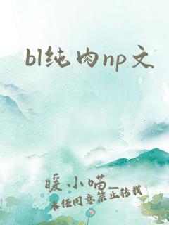bl纯肉np文
