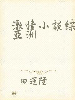 激情小说综合网亚洲