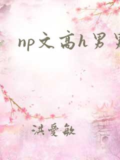 np文高h男男
