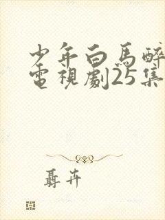 少年白马醉春风电视剧25集在线观看
