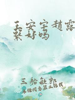 王安宇赵露思关系好吗