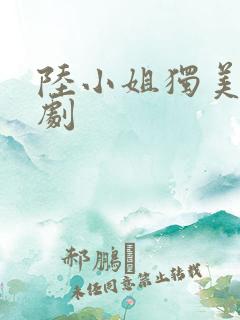 陆小姐独美后短剧