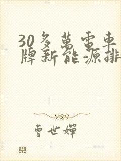 30多万电车品牌新能源排行