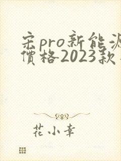 宋pro新能源价格2023款落地价