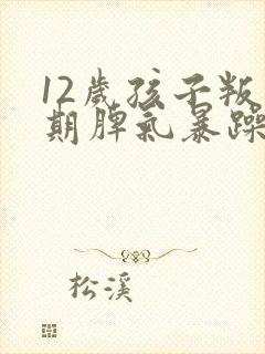 12岁孩子叛逆期脾气暴躁怎么教育