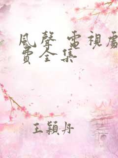 风声 电视剧免费全集