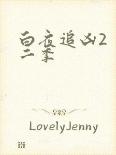 白夜追凶2 第二季