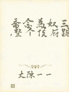 乔念为奴三年后,整个侯府跪求原谅小说全文