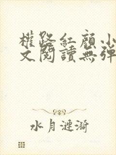 权路红颜小说全文阅读无弹窗