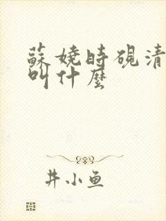 苏娆时砚清小说叫什么