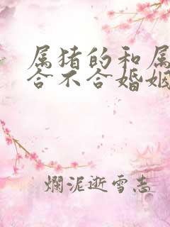 属猪的和属鸡的合不合婚姻