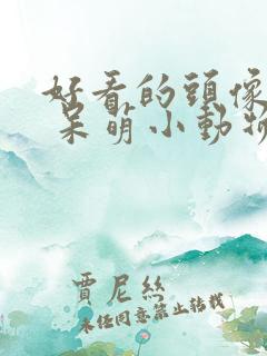好看的头像可爱 呆萌小动物