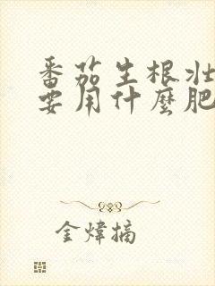 番茄生根壮苗主要用什么肥