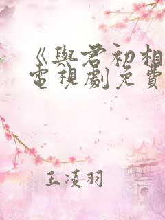 《与君初相识》电视剧免费看