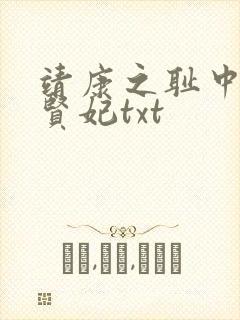靖康之耻中的韦贤妃txt