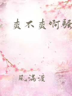爽不爽啊骚货