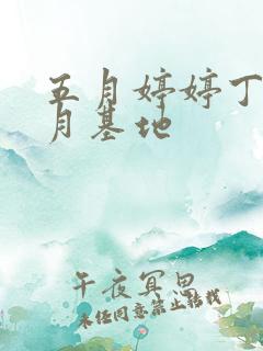 五月婷婷丁香六月基地