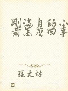 刚满月的小狗尿黄怎么回事