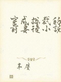 穿成总裁的炮灰前妻后小说
