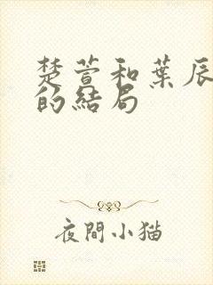 楚萱和叶辰最后的结局