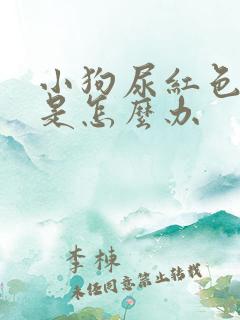 小狗尿红色的尿是怎么办