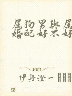 属狗男与属牛女婚配好不好