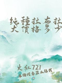 纯种拉布拉多幼犬价格多少钱