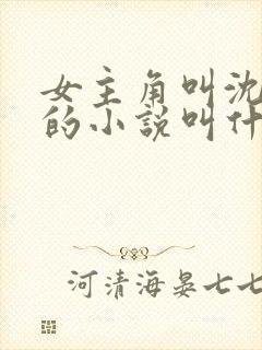 女主角叫沈念念的小说叫什么名字?