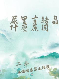 尿里有结晶高是什么原因