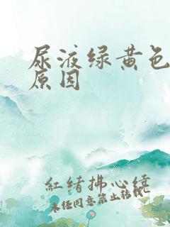 尿液绿黄色什么原因