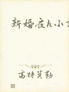 新婚夜h小说
