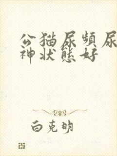 公猫尿频尿少精神状态好
