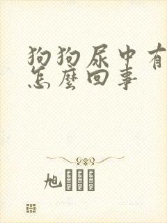 狗狗尿中有血是怎么回事