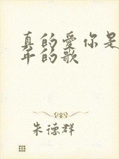 真的爱你是哪一年的歌