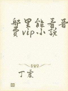 哪里能看晋江免费vip小说