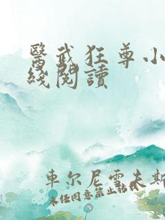 医武狂尊小说在线阅读