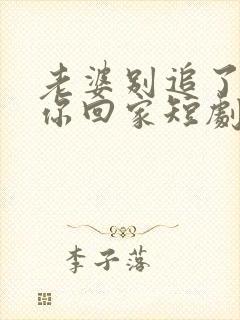 老婆别追了我跟你回家短剧在线观看全集