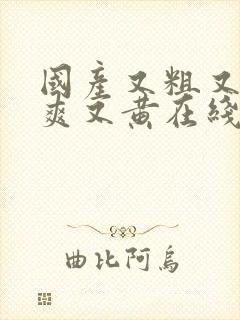 国产又粗又猛又爽又黄在线观看
